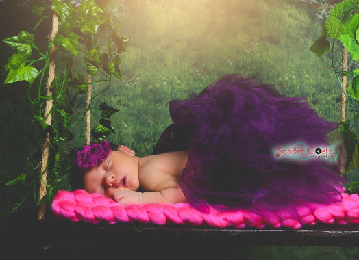 Newborn em Estúdio
