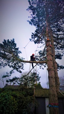 démontage d'un pin avec rétention sur un cabanon à guidel