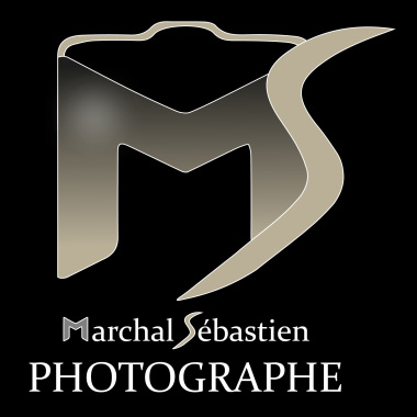 Ms-Photography