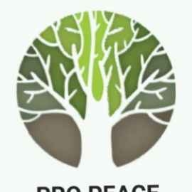 Cordelet Valentin (Pro Peace Paysage)