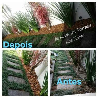 Servicos Completo De Jardinagem