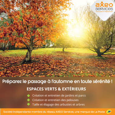 Axeo Services