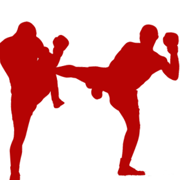 Muay Thai ﹠ Wing Fight