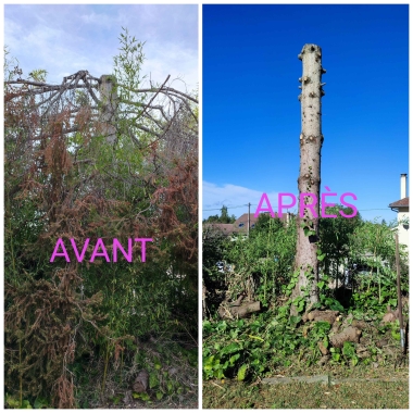 Léon Paysagiste Entretien Parc Et Jardin