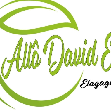Allo David Élagage