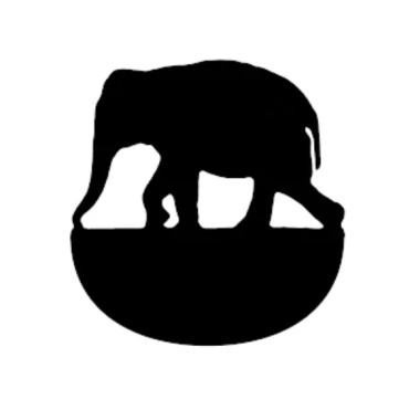 Rogue Elephant