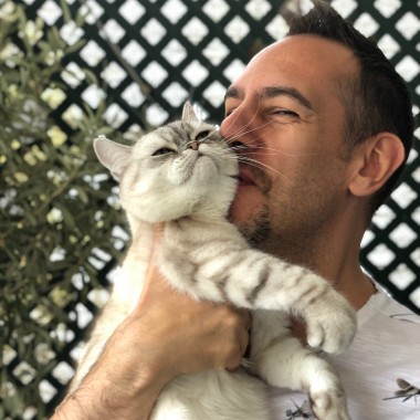 chat suresnes