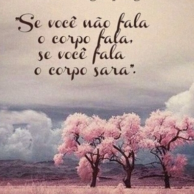 Clipsy - Clínica Dra. Rosália Maia