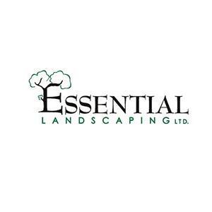 Fall Cleanup Services Mississauga