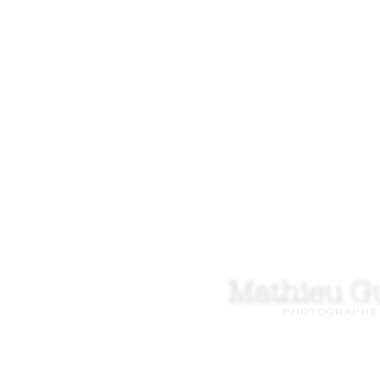Guida Mathieu