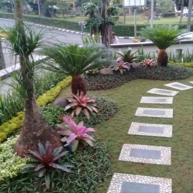 Tukang Taman Surabaya Jawa Timur