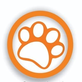 Dog Walker Cuidadora De Cães