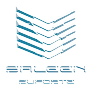Saleen Informática
