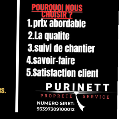Purinett