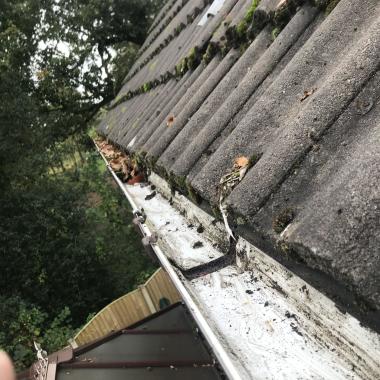 Panther Exterior Cleaning