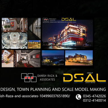 Danish Raza & Associates