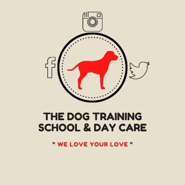 The Dog Training School And Day Care
