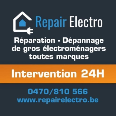 Repair Electro
