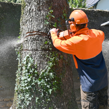 Bois Et Espaces Verts