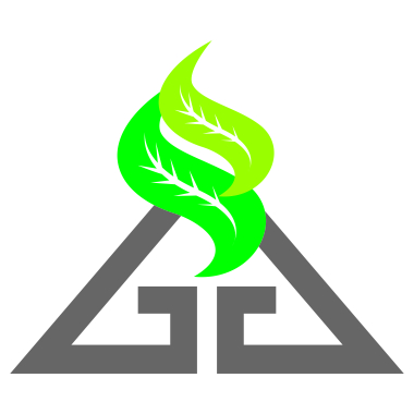Green Gini